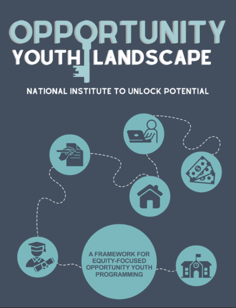 Opportunity Youth Landscape
